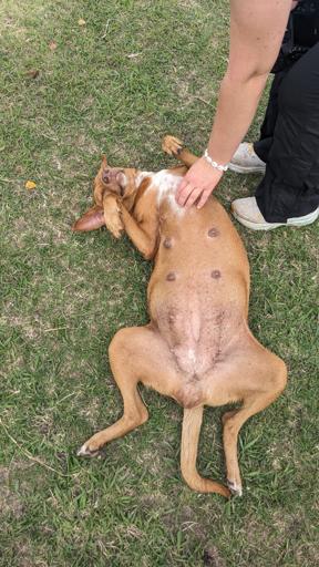 Day 21 July 24 Coralview