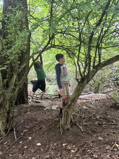 PC: Day Camps 4 (7/22-7/26)