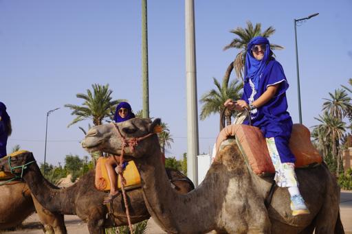 Spain, Portugal & Morocco 3 (July 19-August 5)