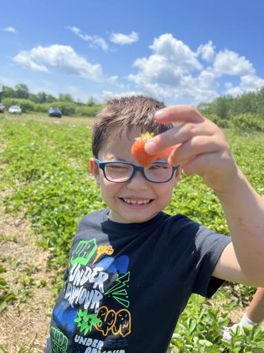 Berry Picking Trip