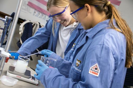 Honors Chemistry Entropy, Enthalpy, Free Energy Lab (4.4.25)