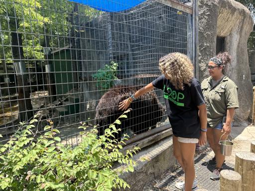 University of Houston - Victoria