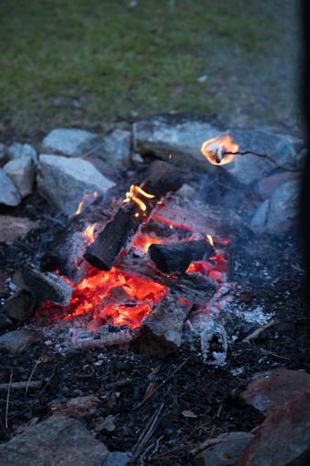 Spectacular Starting Sunday