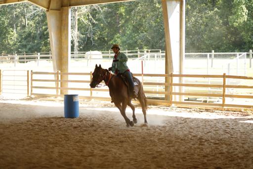 Afternoon Activities