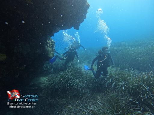 Day 9 July 28 Scuba photos