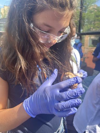 St. John's University in NY