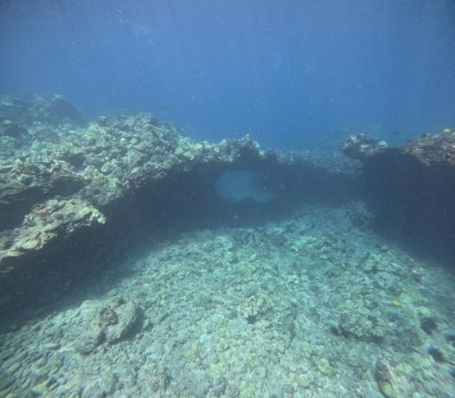 Day 19 - Big Island - Morning Cruise & Final Goodbyes (Pt. 1)