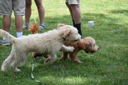 Staff training week 1