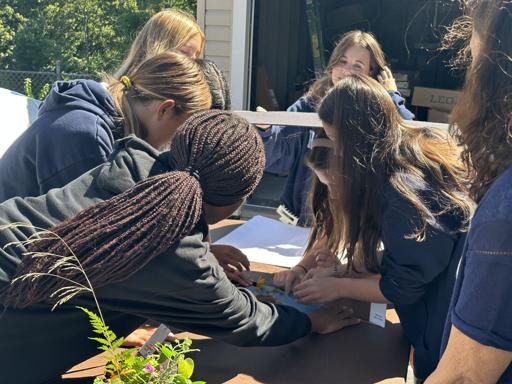 Photo Exploration Students Create Sun Prints