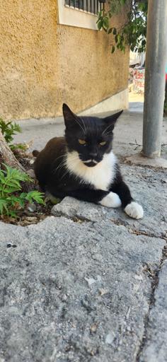 Day 2: Acropolis Parthenon, Acropolis Museum and Hadrian's Arch