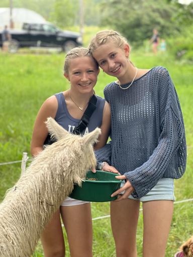 Suri Fina Alpaca Farm
