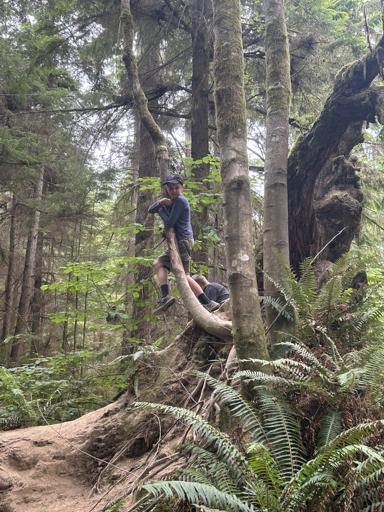 PC: Day Camps 3 (7/15-7/19)