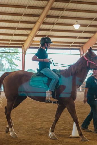 2nd Thursday Senior Camp