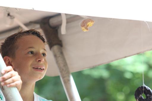 Full Summer Session (June 28-Aug 20)