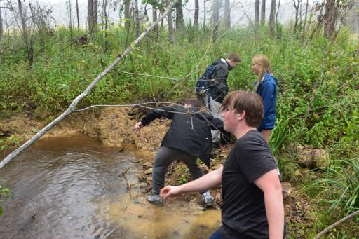 Day 7 - 07/07 - Sheoak Ridge