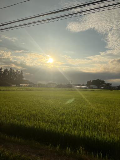 Day 5 - 8/1 - Tokyo to Miyagi