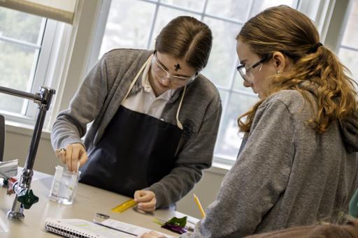 Plant Pigment Chromatography Lab (HO Biology)