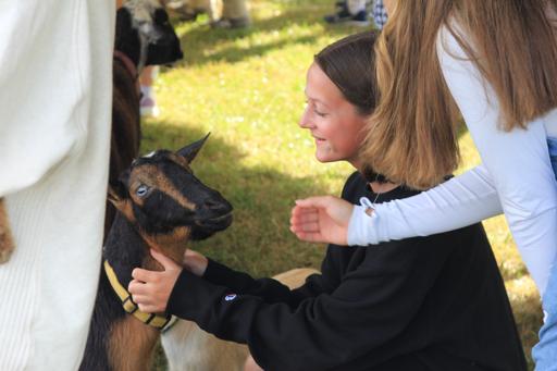 Homecoming - Petting Zoo