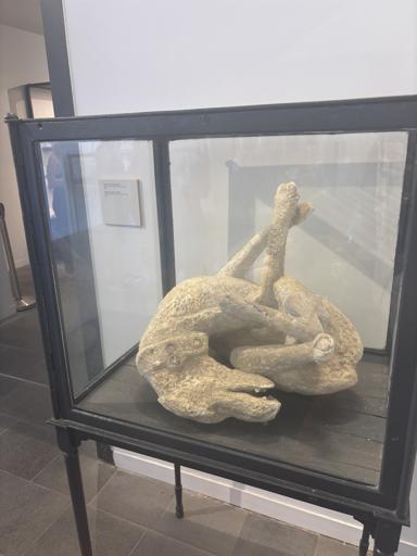 Italy Adventure (July 3-15)