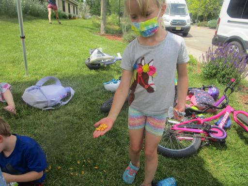 Learn to Bike PreK-1st PM