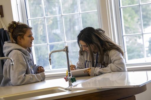 Forensic Science Witness Activity