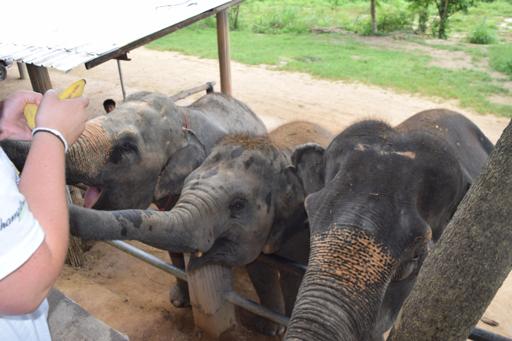 TSI01 - Chiang Mai - 3 July 