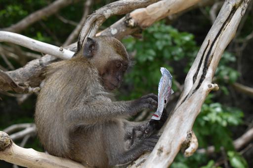 July 16- Phi Phi Islands
