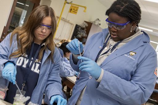 Chemistry Dye Lab