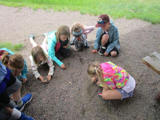 Survival Skills 2nd-4th