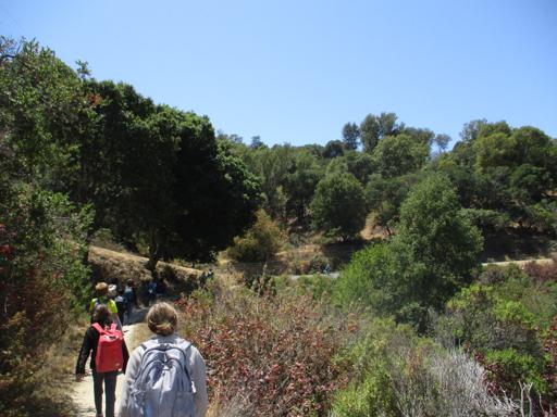 Survival Skills 5th-7th