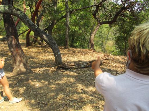 Survival Skills 2nd-4th