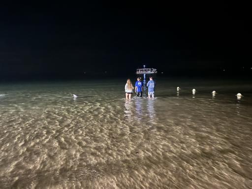 Day 10 - 07/10 - Tangalooma