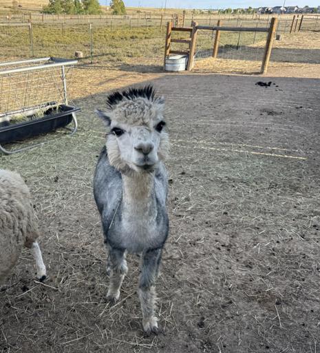 Grade 3 PCC Field Trip