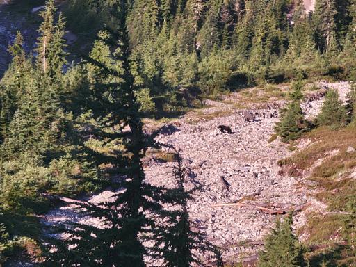 North Cascades (7/24)