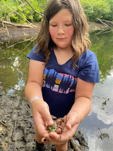 Arboretum Gryphon Camp