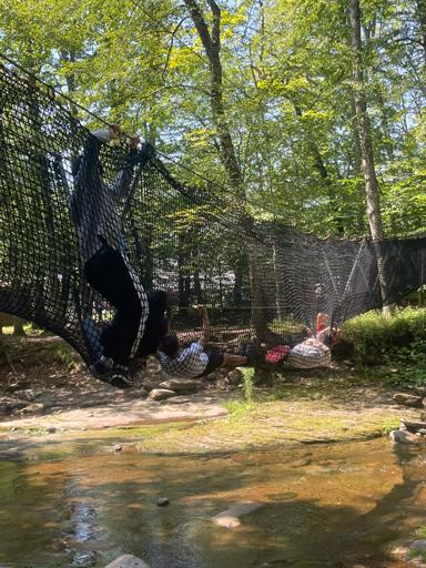 Session 4: August 10 – August 22