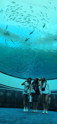 Day 10: 08/10 Frost Science Museum