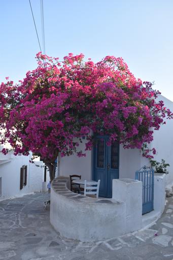 GIHO3B Day 5 - Paros/Antiparos - 27 July