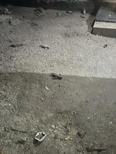 Belize Ultimate Scuba and Service (July 6-19)