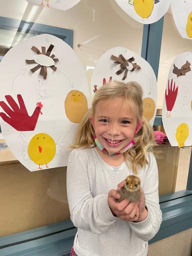 Kindergarten Highlights