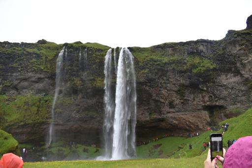 Puffins!! and more :)