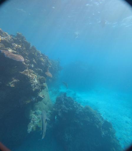 Day 12- Waya Lai Lai