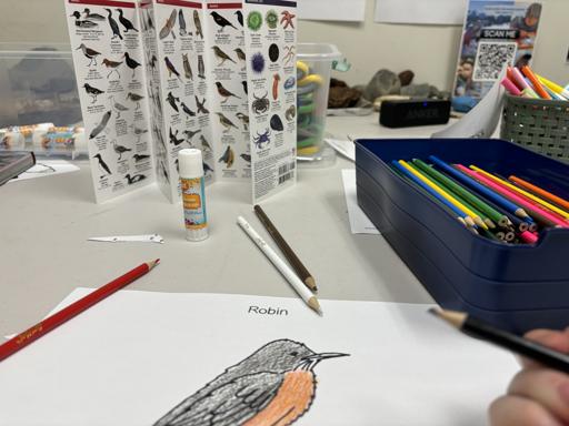 Wild Nature Wednesdays