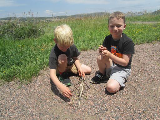 Survival Skills 2nd-4th