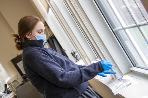 Biology Microscopic Drawing Lab