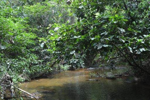 Belize Ultimate Scuba and Service (July 10 - July 23)