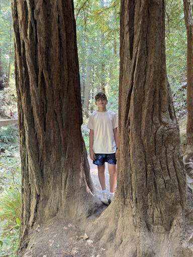 USA for Middle School: Hello California (August 1-11)