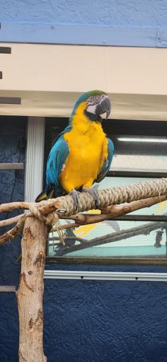 Day 4: 08/04 CRF Day 2 & Dolphins