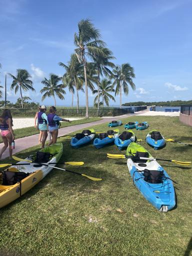 Day 8: Kayaking and Dolphins Plus