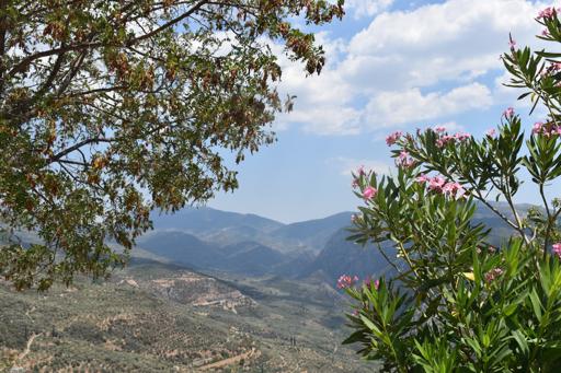 Day 10: Delphi and Athens
